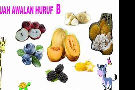 Nama Buah Yang Diawali Dari Huruf B