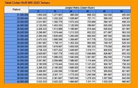 Pinjaman Kur Bri 2024 Terbaru